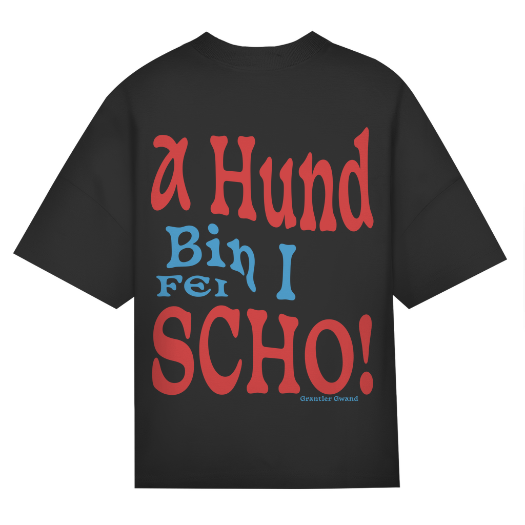 Bayerisches Oversize T-Shirt Männer - A Hund bin i fei scho - rot/blau - Grantler Gwand