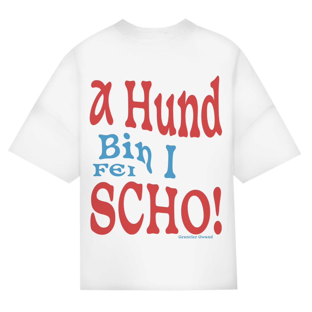 Bayerisches Oversize T-Shirt Männer - A Hund bin i fei scho - rot/blau - Grantler Gwand