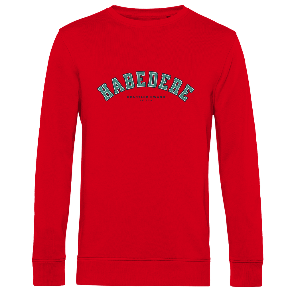 Herren Premium Bio Sweatshirt Habedere - grün