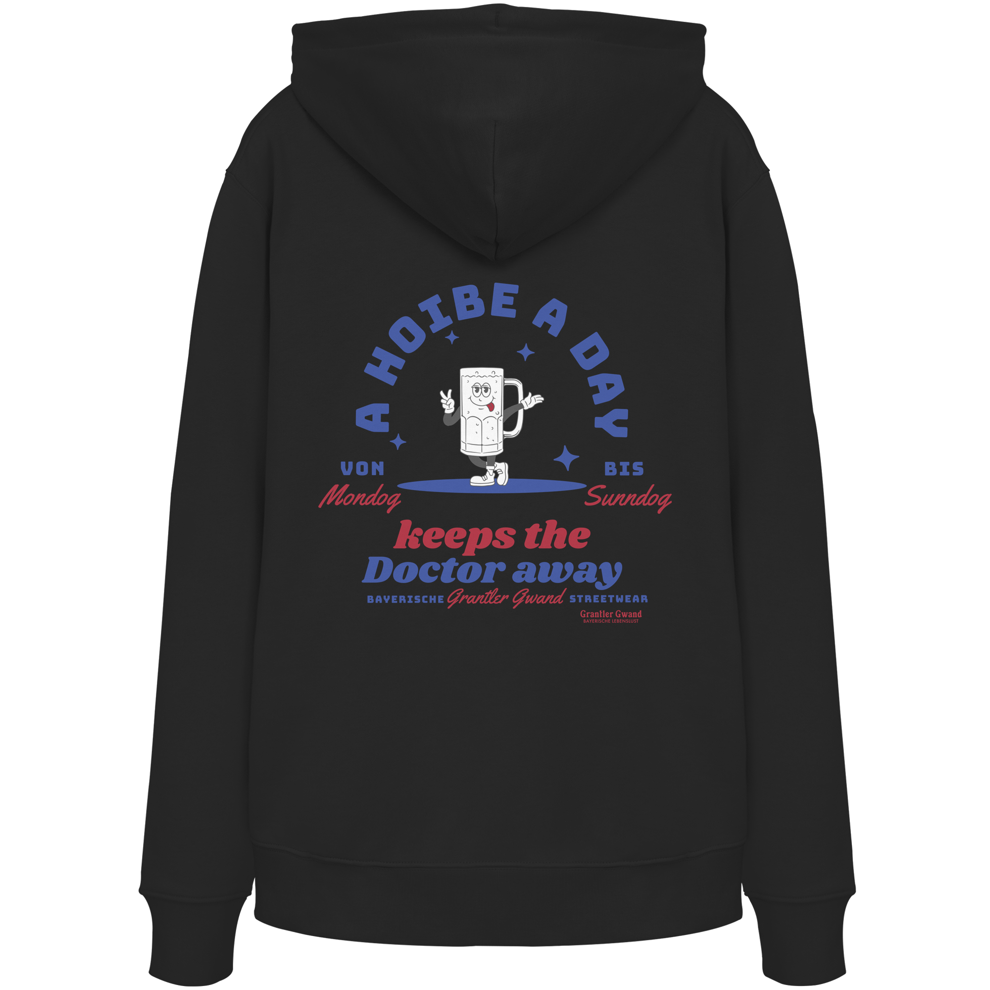 A Hoibe a Day keeps the Doctor away - Hoodie